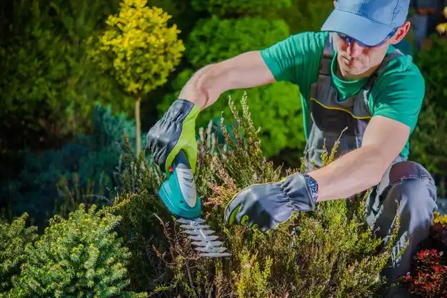 landscaping services Brooklyn
